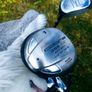 Set of Ladies Golf Clubs Image 3