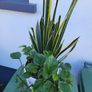 Indoor planter Image 5