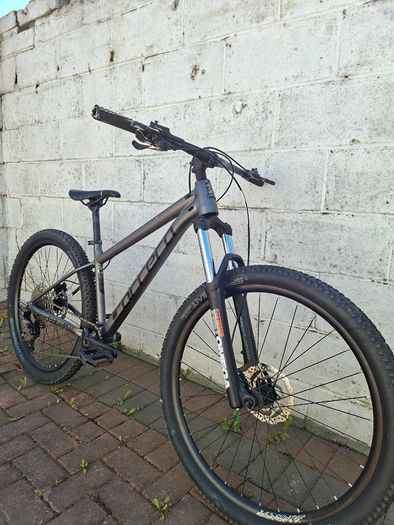 Carrera Sulcata 3.1