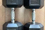 25kg Dumbbells (pair)