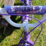 Sweet 16 bike Image 2