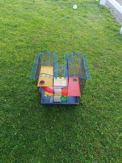 hamster cage