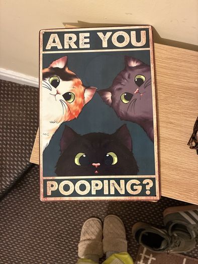 Decor funny metal plate