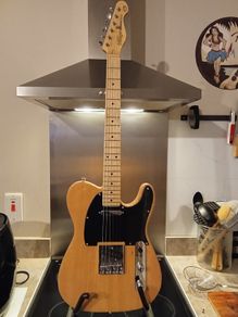 JHS Vintage reissued mint final reduction