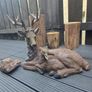 Antlered deer statue - resin Image 4