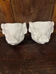 Pair of pig face planters