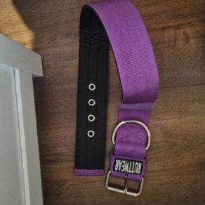 Dog XL collar brand new
