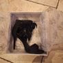 Black feather heels PRICE DROP Image 8