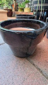 Pot