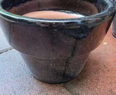 Pot
