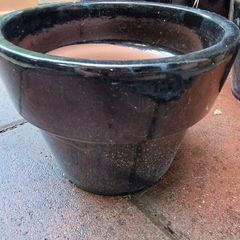 Pot