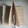 Rare 1839 1st Ed Gregg & Maguire Dublin Debate Untrimmed Original Boards. Rotunda Discussion Irish Church History Uncut Pages. Image 10
