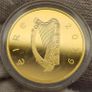 Ireland Gold Proof 2019 1/2 Ounce Pure Gold 100 Euro Coin Dail Eireann Commemorative Coin in Original Holder with COA Image 4