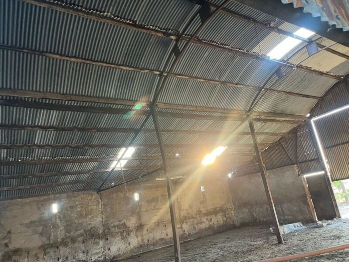 Cattle shed
