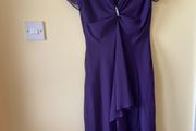 Purple Dress