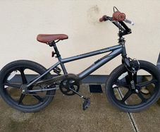 Piranha 20" BMX Bike