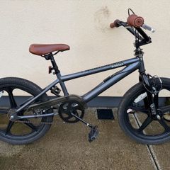 Piranha 20" BMX Bike