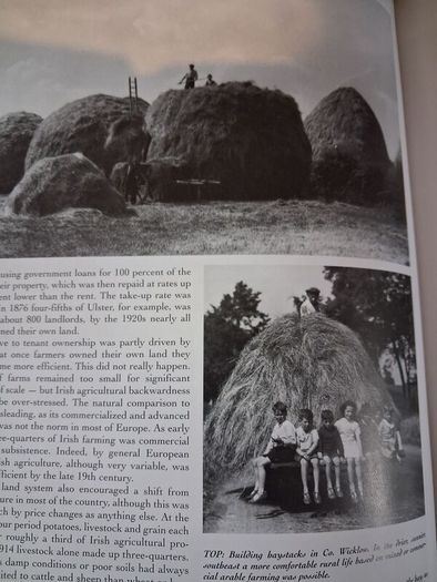 An Irish Century / 1845-1945/ From the Famine to World War 2/ Stephen Small / 1998