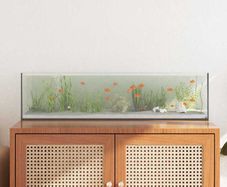 Aquarium