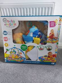 Baby Einstein play mat