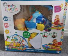 Baby Einstein play mat