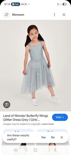 Monsoon Butterfly Dress