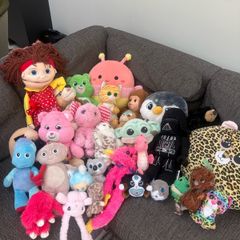 Free teddys