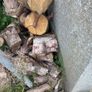 logs Image 2