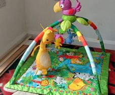 Fisher Price Baby Playmat