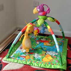 Fisher Price Baby Playmat