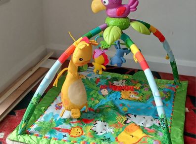 Fisher Price Baby Playmat