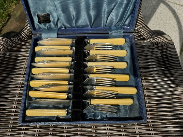 Cased set of fish knives & forks