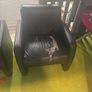 chair Image 2