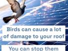 Solar bird guard Image 3