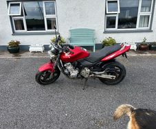 Honda Hornet 600