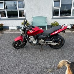 Honda Hornet 600
