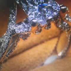 Sterling Silver Solitaire Ring