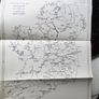 The Sources For The Early History Of Ireland ; Ecclesiastical Image 3