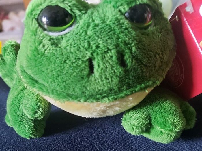 Frog lovey / teddy / stuffed animal plushie