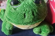 Frog lovey / teddy / stuffed animal plushie