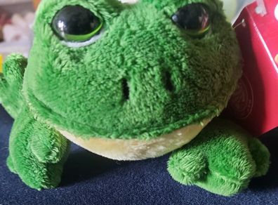 Frog lovey / teddy / stuffed animal plushie
