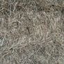 Hay Image 2