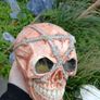 Collectables Image 9