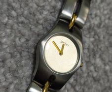 DKNY Women's Two-Tone Watch (NY-3018)