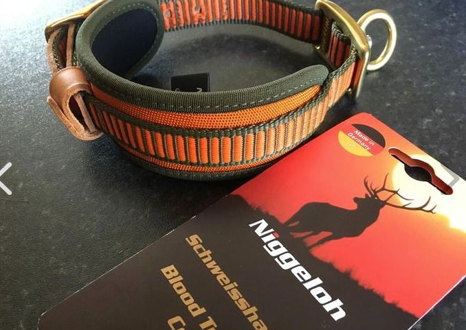 New dog collar by Niggeloh