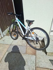 Kross Evado 1.0
