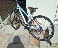 Kross Evado 1.0