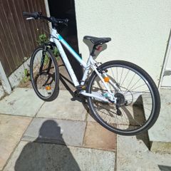 Kross Evado 1.0