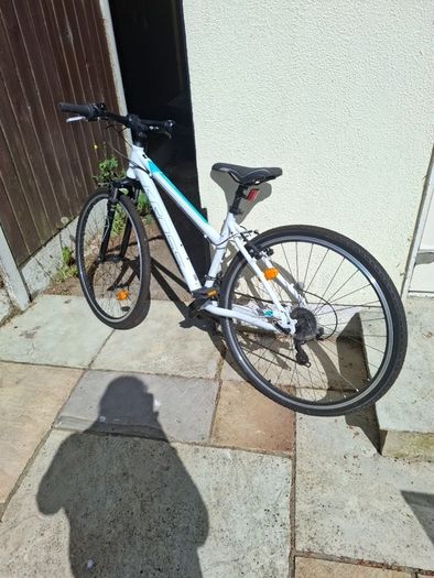 Kross Evado 1.0