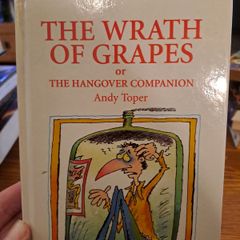 The Wrath of Grapes Or The Hangover Companion Andy Toper